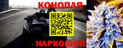 гидра Рязань