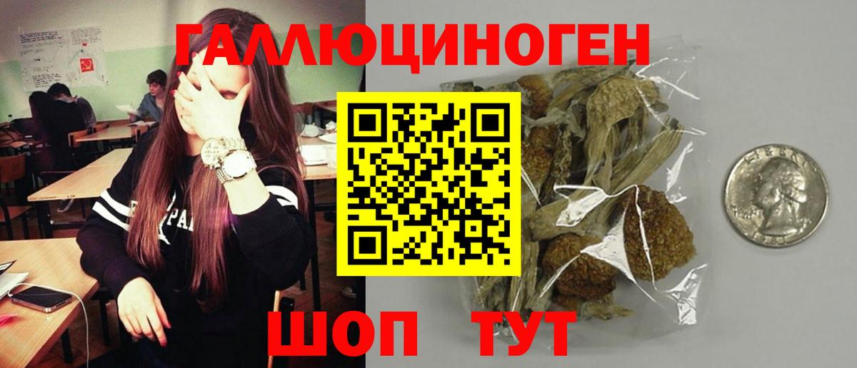 Псилоцибиновые грибы прущие грибы Рыбинск